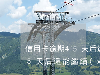 信用卡逾期45天后還能用嗎，信用卡逾期45天后，還能繼續(xù)使用嗎？
